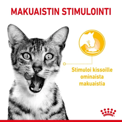 MAKUAISTIN STIMULOINTI. Stimulo i kissoille ominaista makuaistia.
