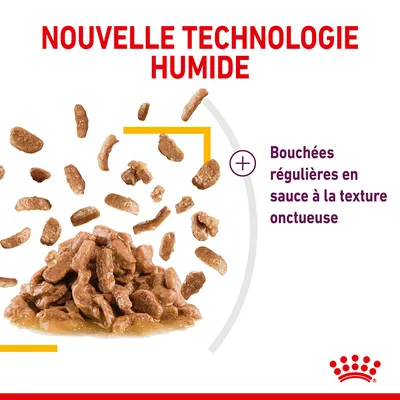 Nouvelle technologie humide, bouchées régulières en sauce à la texture onctueuse. Morceaux de nourriture humide présentés sur fond blanc, logo Royal Canin visible.