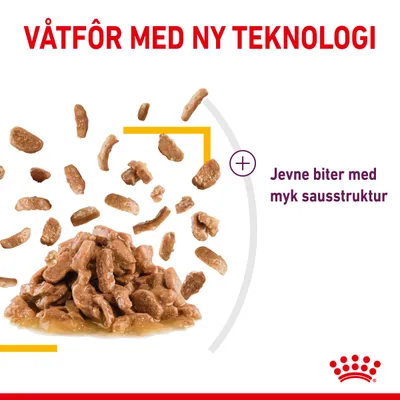 Royal Canin Sensory Taste i saus