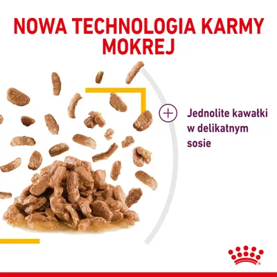 Nowa technologia karmy mokrej. Jednolite kawałki w delikatnym sosie. Logo Royal Canin.