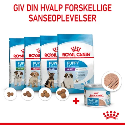 Royal Canin Puppy tørfoder Mini, Medium, Maxi, Giant samt dåse Starter mousse. Tekst: Giv din hvalp forskellige sanseoplevelser.