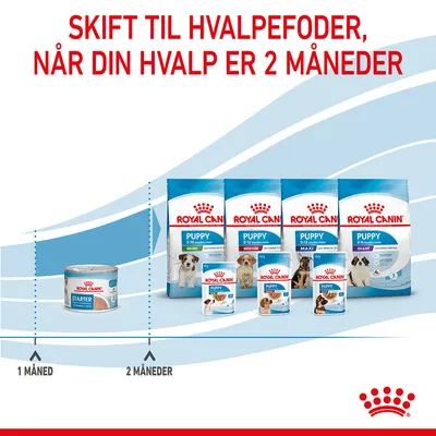 Royal Canin Starter til 1 måned, Royal Canin Puppy Mini, Medium, Maxi og Giant til 2 måneder. Tekst: Skift til hvalpefoder, når din hvalp er 2 måneder.