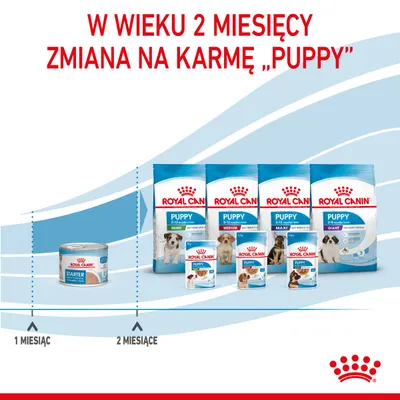 Royal Canin. W wieku 2 miesięcy zmiana na karmę Puppy. Opakowania: Starter do 1 miesiąca, Puppy Mini, Medium, Maxi, Giant od 2 miesięcy. Grafika z linią czasu i zdjęciami produktów.
