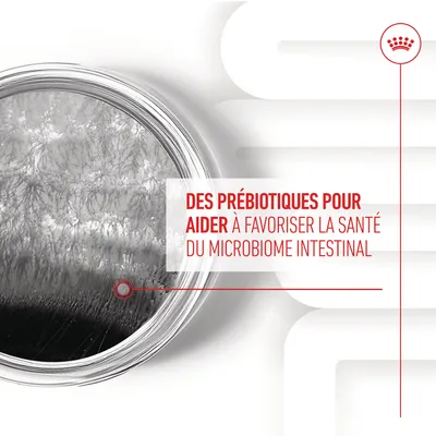 Des prébiotiques pour aider à favoriser la santé du microbiome intestinal. Texte en français visible sur l’image.
