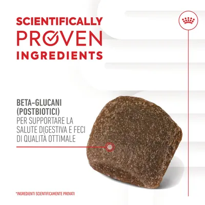 SCIENTIFICALLY PROVEN INGREDIENTS. Beta-glucani (postbiotici) per supportare la salute digestiva e feci di qualità ottimale. *Ingredienti scientificamente provati.