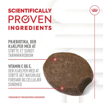 SCIENTIFICALLY PROVEN INGREDIENTS. Præbiotika, der hjælper med at støtte et sundt tarmmikrobiom. Vitamin C og E, der hjælper med at støtte det naturlige forsvar og cellulær sundhed.