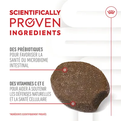 SCIENTIFICALLY PROVEN INGREDIENTS. Des prébiotiques pour la santé du microbiome intestinal. Des vitamines C et E pour soutenir les défenses naturelles et la santé cellulaire.