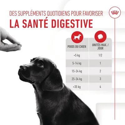 Suppléments quotidiens pour la santé digestive. Tableau : poids du chien <5 kg 1/2, 5–14 kg 1, 15–24 kg 2, 25–34 kg 3, >35 kg 4 unités max./jour.