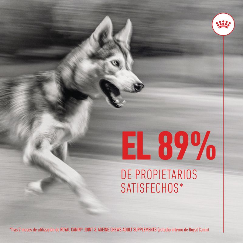 Royal Canin Joint & Ageing Adult suplemento masticable