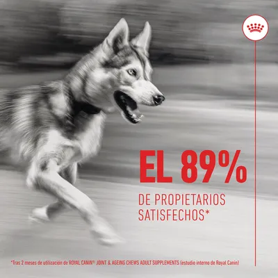 EL 89% de propietarios satisfechos*. *Tras 2 meses de utilización de ROYAL CANIN JOINT & AGEING CHEWS ADULT SUPPLEMENTS (estudio interno de Royal Canin)
