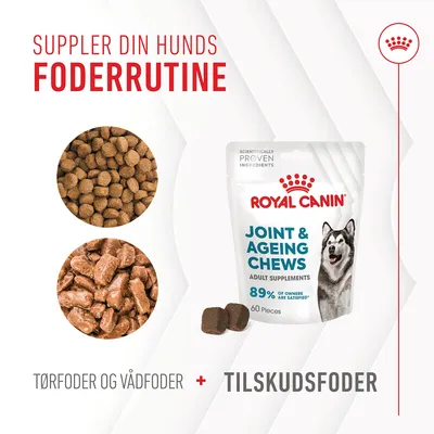 Royal Canin Joint & Ageing Chews, 60 stk. Tekst: Suppler din hunds foderrutine. Tørfoder og vådfoder + tilskudsfoder. 89% of owners are satisfied. Billede af tør- og vådfoder.