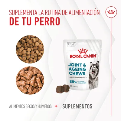 ROYAL CANIN Joint & Ageing Chews, suplemento para perros adultos, 60 piezas. Texto: Suplementa la rutina de alimentación de tu perro. Alimentos secos y húmedos + suplementos.