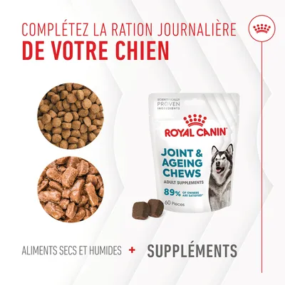 ROYAL CANIN Joint & Ageing Chews, 60 pièces, 89 % of owners are satisfied. Complétez la ration journalière de votre chien avec aliments secs, humides et suppléments.