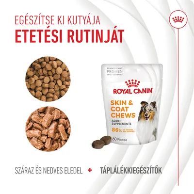Royal Canin Skin & Coat Chews csomag, 60 db, 86% elégedettség, száraz és nedves eledel, táplálékkiegészítők. Szöveg: Egészítse ki kutyája etetési rutinját.