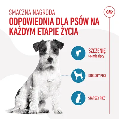 Smaczna nagroda odpowiednia dla psów na każdym etapie życia: szczenię >6 miesięcy, dorosły pies, starszy pies. Grafika z psem i ikonami etapów życia.