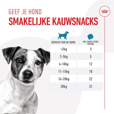 Voedingsadvies voor kauwsnacks: gewicht van de hond en maximaal aantal stuks per dag, variërend van 3 stuks (<2kg) tot 31 stuks (20kg). Tekst: Geef je hond smakelijke kauwsnacks.