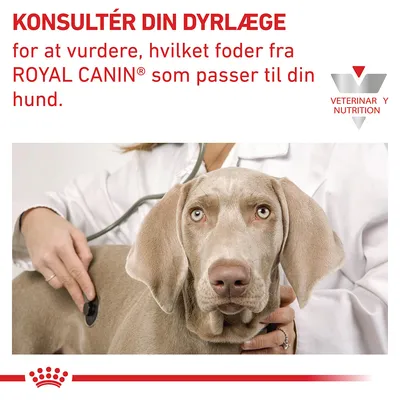 KONSULTÉR DIN DYRLÆGE for at vurdere, hvilket foder fra ROYAL CANIN som passer til din hund. VETERINARY NUTRITION. Tekst på dansk og engelsk.