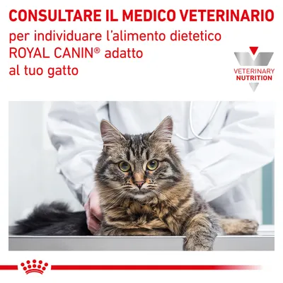 CONSULTARE IL MEDICO VETERINARIO per individuare l’alimento dietetico ROYAL CANIN adatto al tuo gatto. VETERINARY NUTRITION.