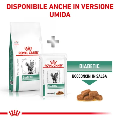 Royal Canin Veterinary Diabetic per gatti, disponibile sia secco che umido. Testo visibile: DIABETIC, bocconcini in salsa, disponibile anche in versione umida.