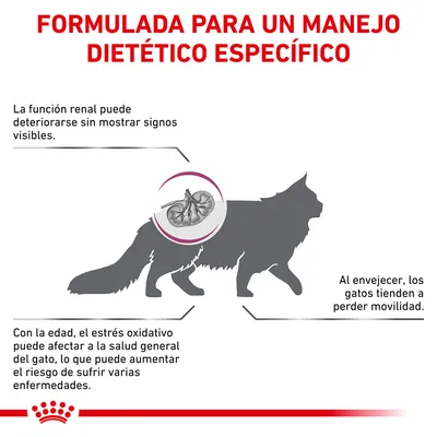 Formulada para un manejo dietético específico. La función renal puede deteriorarse sin mostrar signos visibles. Al envejecer, los gatos tienden a perder movilidad. Estrés oxidativo afecta la salud general. Formulada para un manejo dietético específico. La función renal puede deteriorarse sin mostrar signos visibles. Al envejecer, los gatos tienden a perder movilidad. Estrés oxidativo afecta la salud general.