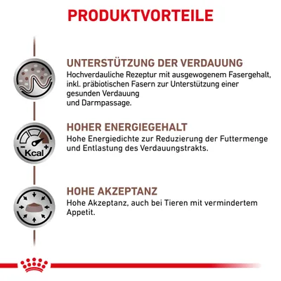 Текст на немецком: PRODUKTVORTEILE, UNTERSTÜTZUNG DER VERDAUUNG, HOHER ENERGIEGEHALT, HOHE AKZEPTANZ. Описание преимуществ продукта для пищеварения, энергии и приемлемости.