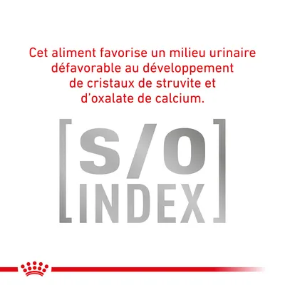 Cet aliment favorise un milieu urinaire défavorable au développement de cristaux de struvite et d’oxalate de calcium. [s/o] INDEX