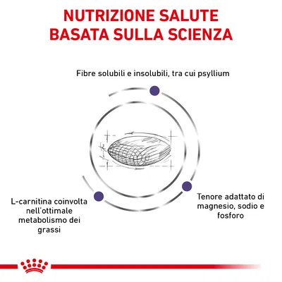 Nutrizione salute basata sulla scienza. Fibre solubili e insolubili, tra cui psyllium. L-carnitina coinvolta nell’ottimale metabolismo dei grassi. Tenore adattato di magnesio, sodio e fosforo.