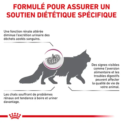 Formulé pour assurer un soutien diététique spécifique. Fonction rénale altérée, signes digestifs visibles, chats avec problèmes rénaux boivent et urinent plus. Texte en français.