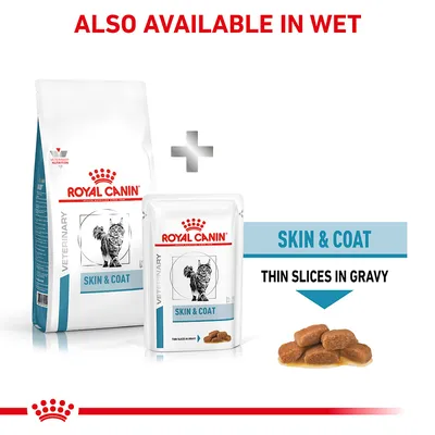 ROYAL CANIN VETERINARY SKIN & COAT ξηρή και υγρή τροφή γάτας. Εμφανίζεται συσκευασία ξηρής τροφής, φακελάκι υγρής τροφής και κομμάτια σε σάλτσα. Κείμενο: ALSO AVAILABLE IN WET, THIN SLICES IN GRAVY.