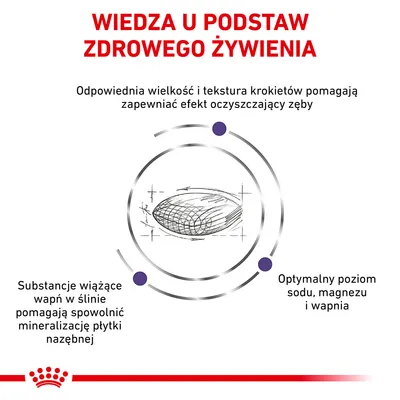 Wiedza u podstaw zdrowego żywienia. Odpowiednia wielkość i tekstura krokietów, substancje wiążące wapń w ślinie, optymalny poziom sodu, magnezu i wapnia.