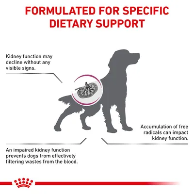 FORMULATED FOR SPECIFIC DIETARY SUPPORT. Kidney function may decline without any visible signs. An impaired kidney function prevents dogs from effectively filtering wastes from the blood. Accumulation of free radicals can impact kidney function.