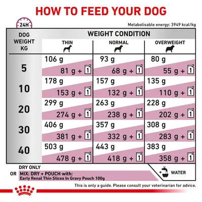 Feeding guide for dogs by weight and condition: dry only or mix with Early Renal Thin Slices In Gravy Pouch 100g. Amounts listed for thin, normal, overweight dogs from 5–40 kg.