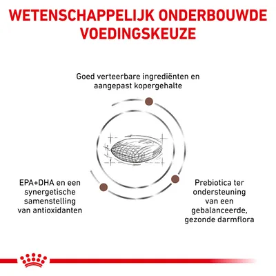 Wetenschappelijk onderbouwde voedingskeuze: goed verteerbare ingrediënten, aangepast kopergehalte, EPA+DHA met antioxidanten, prebiotica voor gezonde darmflora.