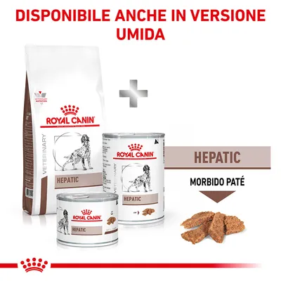 Royal Canin Hepatic secco e umido per cani, confezione crocchette e lattine con etichetta 'HEPATIC', scritta: Disponibile anche in versione umida, morbido paté visibile.