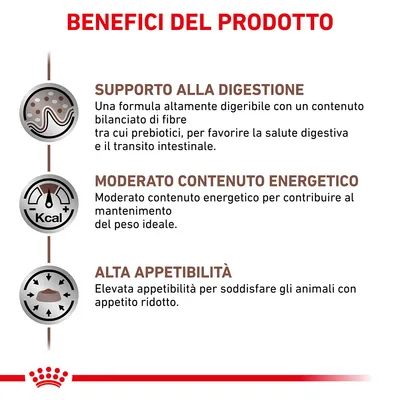 Benefici del prodotto: supporto alla digestione, moderato contenuto energetico, alta appetibilità. Testo descrittivo su digeribilità, energia e appetibilità visibile nell'immagine.