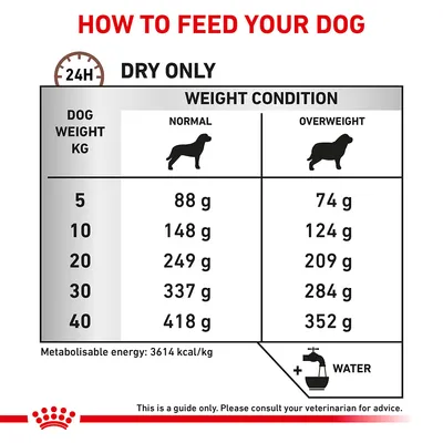 Feeding guide for dogs: daily dry food amounts by weight and condition. For example, a 10kg dog needs 148g if normal or 124g if overweight. Always provide water. Consult your vet for advice.