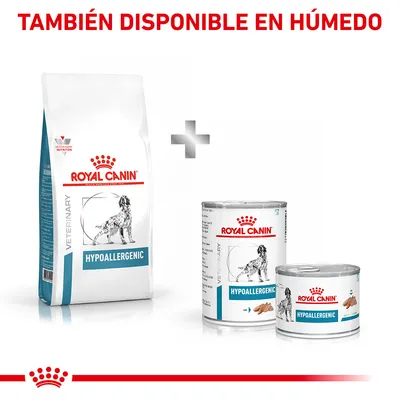 Royal Canin Hypoallergenic VETERINARY en formato seco y húmedo. Texto: 'TAMBIÉN DISPONIBLE EN HÚMEDO'. Imagen de saco y latas con etiqueta HYPOALLERGENIC.
