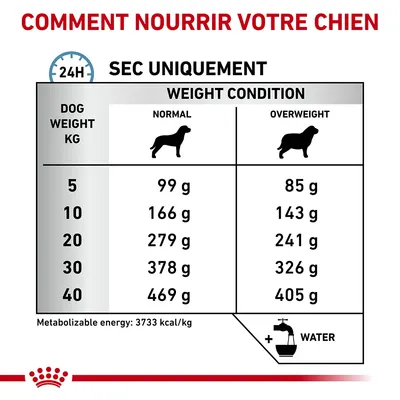 Tableau d’alimentation pour chien : poids 5–40 kg, quantités journalières en g selon condition normale ou surpoids. Exemple : 10 kg normal 166 g, surpoids 143 g. Énergie 3733 kcal/kg.
