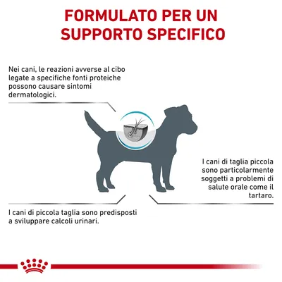 FORMULATO PER UN SUPPORTO SPECIFICO. Nei cani, le reazioni avverse al cibo legate a specifiche fonti proteiche possono causare sintomi dermatologici. I cani di piccola taglia sono predisposti a calcoli urinari e problemi orali come il tartaro.