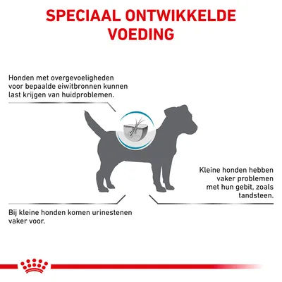 Speciaal ontwikkelde voeding. Honden met overgevoeligheden voor bepaalde eiwitbronnen kunnen huidproblemen krijgen. Kleine honden hebben vaker gebitsproblemen en urinestenen.