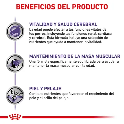 Beneficios del producto: vitalidad y salud cerebral, mantenimiento de la masa muscular, piel y pelaje. Incluye descripciones sobre nutrientes y funciones para perros.