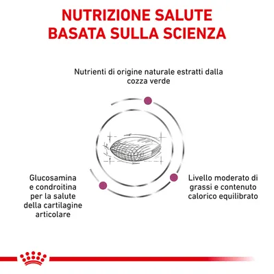 NUTRIZIONE SALUTE BASATA SULLA SCIENZA. Nutrienti di origine naturale estratti dalla cozza verde. Glucosamina e condroitina per la salute della cartilagine articolare. Livello moderato di grassi e contenuto calorico equilibrato.