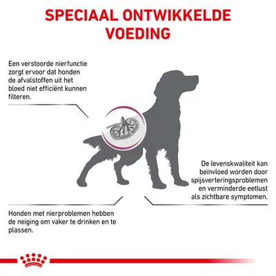 Speciaal ontwikkelde voeding. Tekst: Een verstoorde nierfunctie zorgt ervoor dat honden de afvalstoffen uit het bloed niet efficiënt kunnen filteren. Honden met nierproblemen hebben de neiging om vaker te drinken en te plassen. De levenskwaliteit kan beïnvloed worden door spijsverteringsproblemen en verminderde eetlust als zichtbare symptomen.