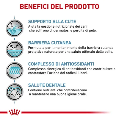 Benefici del prodotto: supporto alla cute, barriera cutanea, complesso di antiossidanti, salute dentale. Testi esplicativi per ciascun beneficio visibili nell'immagine.