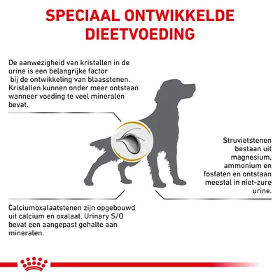 Speciaal ontwikkelde dieetvoeding. Uitleg over kristallen in urine, struvietstenen met magnesium, ammonium en fosfaten, calciumoxalaatstenen en aangepast mineraalgehalte Urinary S/O.