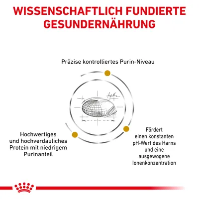 Wissenschaftlich fundierte Gesundernährung: Präzise kontrolliertes Purin-Niveau, hochwertiges Protein mit niedrigem Purinanteil, fördert konstanten pH-Wert des Harns und ausgewogene Ionenkonzentration.