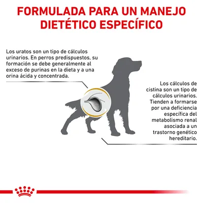 Formulada para un manejo dietético específico. Explicación sobre uratos y cálculos de cistina en perros, causas y formación según dieta o metabolismo renal. Silueta de perro con ilustración interna.