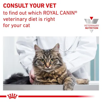 Text: CONSULT YOUR VET to find out which ROYAL CANIN veterinary diet is right for your cat. VETERINARY NUTRITION. Bild på katt hos veterinär.