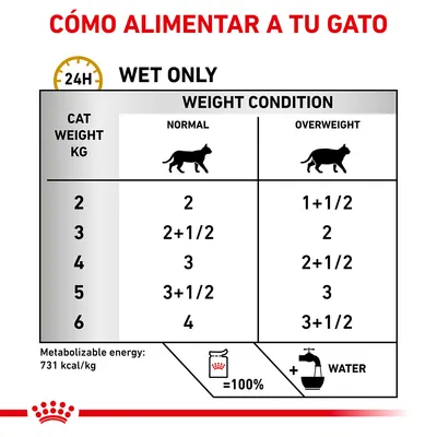 Tabla de alimentación diaria para gatos según peso y condición: 2–6 kg, normal u obeso. Ejemplo: gato 4 kg normal, 3 raciones; obeso, 2+1/2. Energía metabolizable: 731 kcal/kg.