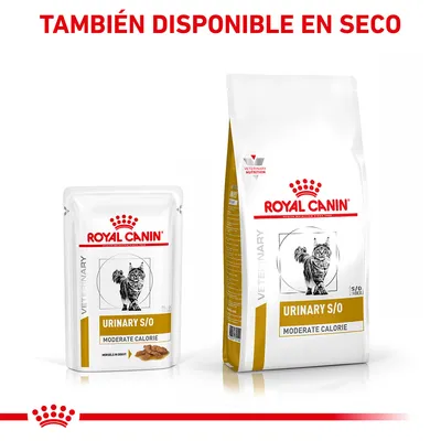 ROYAL CANIN URINARY S/O MODERATE CALORIE para gatos, disponible en formato húmedo y seco. Imagen de sobre y saco con ilustración de gato y texto 'TAMBIÉN DISPONIBLE EN SECO'.